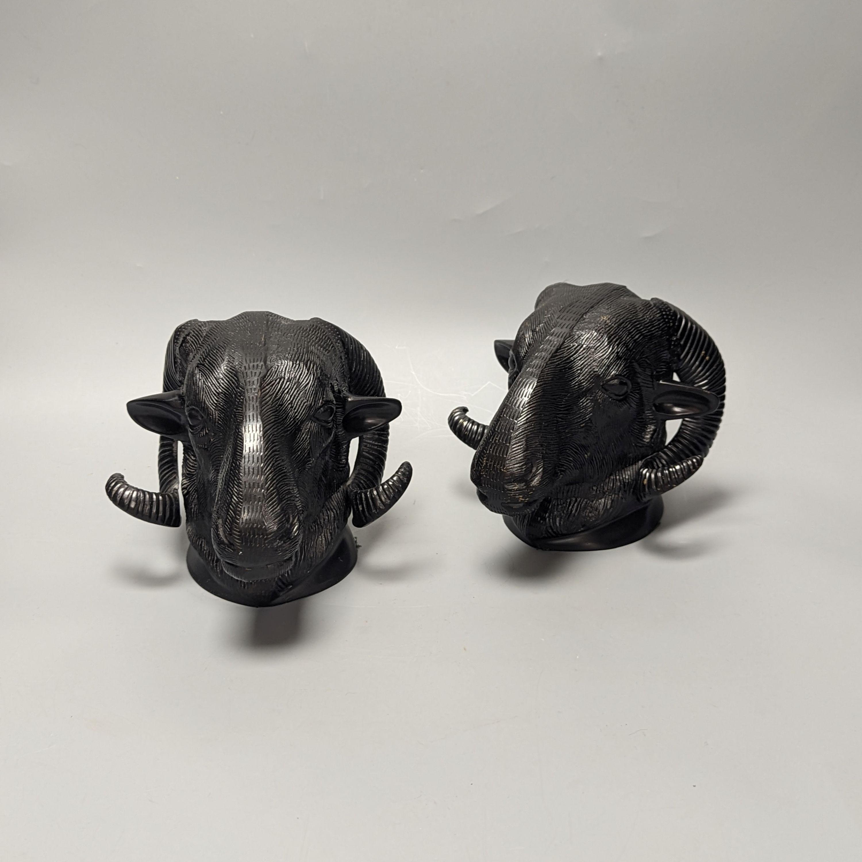 A pair of cold painted bronze ‘rams head’ wall mounts/coat hooks, 18cm